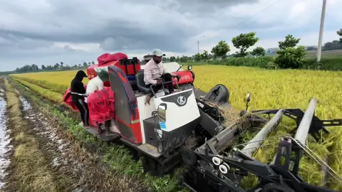 Cuối video có bất ngờ.😌#84travinh❤️✌️ 