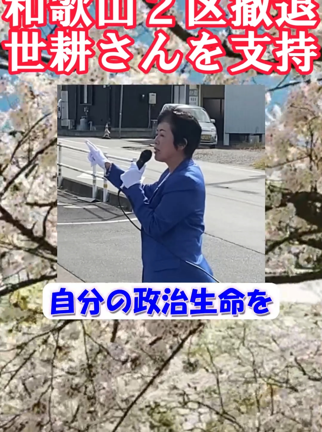 「二階王国世襲政治を止めよう」#本間奈々 #二階伸康 #和歌山2区