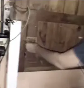 How would you react? . . . . .  #reels #jumpscare #fear #screaming #creepyvibes #scaryvideo #spookyvibes #terrifying #unnerving #icantwatch #scary #frightnight #chilling #Spooky #chills  #eerie #goosebumps #sinister #3am #night #terrified #creepy  #veryscary #alarming #creature #screams #scream #creatures #watching #horrifying 