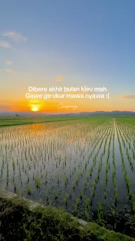 tag keun nu sami jangar😅🤣 #most #xyzbca #fyppppppppppppppppppppppp #quotes #sunda #storysunda🍁 #fypdongggggggg #Sastradirdja✨ 