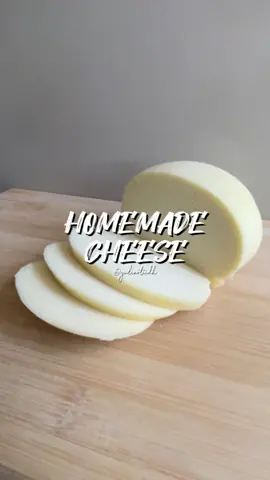 Homemade Cheese🧀🧀 hanya 2 bahan:  1. Susu sapi segar (mentah) 4 liter 2. Acid (air perasan lemon/ white ginegar/ cuka putih) 1,5 cup  tips:  - hindari susu UHT (pakai susu yg belum dipanaskan sama sekali)  - susu sapi minimal diperah sehari sebelum - jangan overheat ( max 87-88 derajat celcius) saat menambahkan acid  - aduk perlahan aja  - jangan panik kalo curds gak segera kalis saat di uleni. panaskan lg aja (emang gakbisa kalis2 bgt kaya adonan roti juga kok)  - kasih garam sedikit2 sesuai tingkat asin yg diinginkan #homemadecheese #kejurumahan #homemadekeju #bikinkejusendiri #resepkeju #cheeserecipes #resepmasakan #reseprumahan #homemadefood #masakmasak #masakapahariini #masakansederhana #masaksimple #masakanindonesia #kulinernusantara #cheeselovers #pecintakeju #kejumpasi #kejubayi #kejusehat 