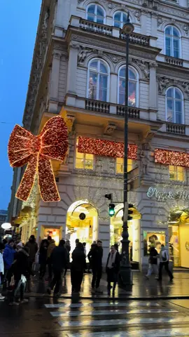 The World's Largest Red Bow Christmastime in Vienna 🫶  I can’t help falling in love with you, my wonderful Vienna 💝🎀💫 #canthelpfallinginlove #vienna #winter #christmas #redbow #fyr #sparklingmemories #wien 