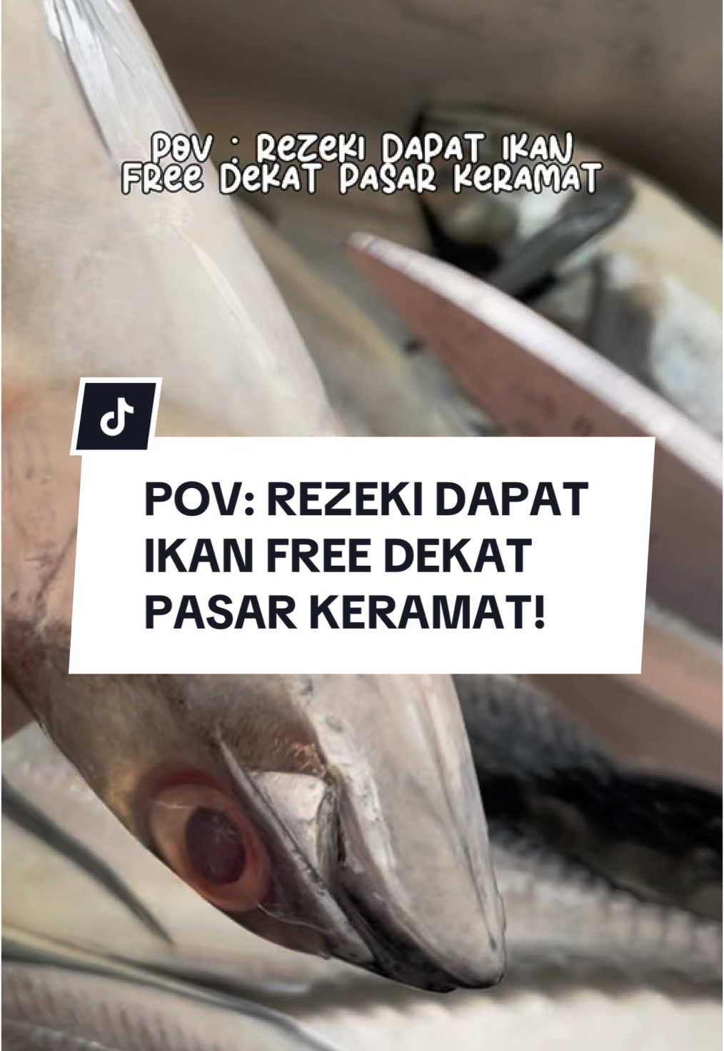 Alhamdulillan rezeki arini dapat ikan free sebab penjual ikan tu punya birthday arini. Moga murah rezeki orang tu. Kenyang kami anak beranak. 🥹