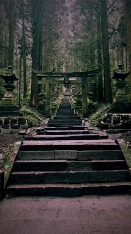 Kamishikimi Kumanoza Shrine (Kumamoto) /上色見熊野座神社 A mysterious shrine surrounded by tall trees🌳⛩️🌳🥰🤩 Please Share🥰😊🙏 Please follow 👉@japan_walker_  #japan #japantravel  #japantrip #anime #animejapan #japananime #japan🇯🇵 #traveljapan  #tripjapan  #kamishikimikumanozashrine #上色見熊野座神社 #kumamoto #kumamotogram #熊本 #熊本県 #熊本観光 #kyushu #九州 #shrine #jinja #神社 