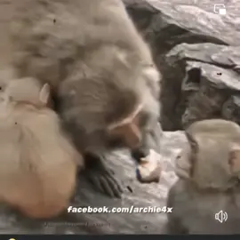 ape athrare owa mokuth nee 😂😂😂😂#💞💞💞💞 #🥰🥰🥰 #🥰🥰 #tiktok 