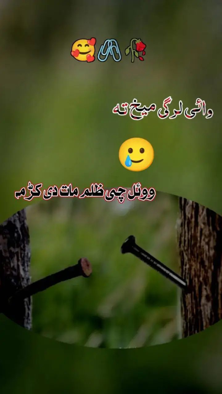 #viralvideos #fypシ゚viral #plesetiktokteamvirelmyvideoo #viraltiktok #viralpage #pashtoshayari #plese_tiktok_for_you #foryoupage #growmyaccount #pashto #unfrezzmyaccount #پشتون_تاجیک_هزاره_ازبک_زنده_باد🇦🇫 