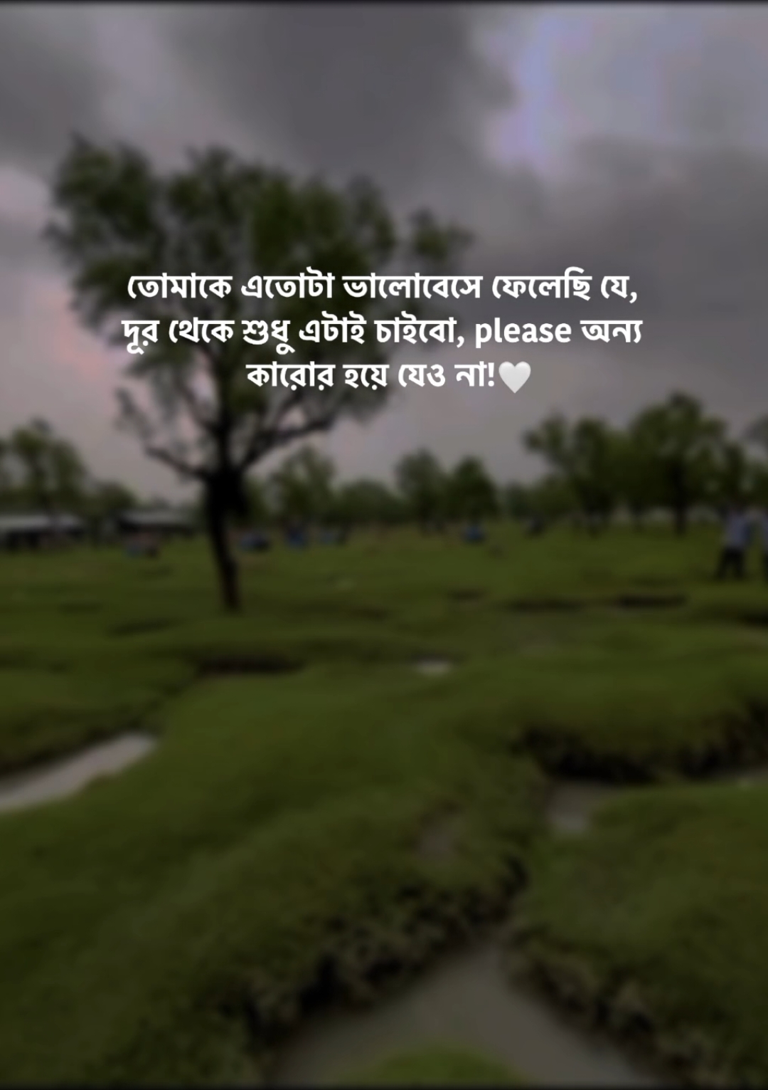 তোমাকে এতোটা ভালোবেসে ফেলেছি যে, দূর থেকে শুধু এটাই চাইবো, please অন্য কারোর হয়ে যেও না!#foryoupageofficiall #foryou #fyp #bdtiktokbangladesh #vairalvideo @ꫝɾᴍα𝙽:)⚡🎀 @乂 𝚁 𝙸 𝙵 𝙰 𝚃:)🥂 @For You House ⍟ @For You @TikTok Bangladesh 