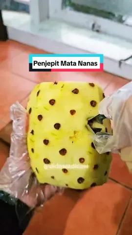 Jadi ga males lagi bersihin mata nanas sejak ada penjepit mata nanas ini. Lebih enaknya lagi, jadi ga banyak daging nanas yang kebuang deh. #penjepitmatananas #capitanmatananas #fyp 