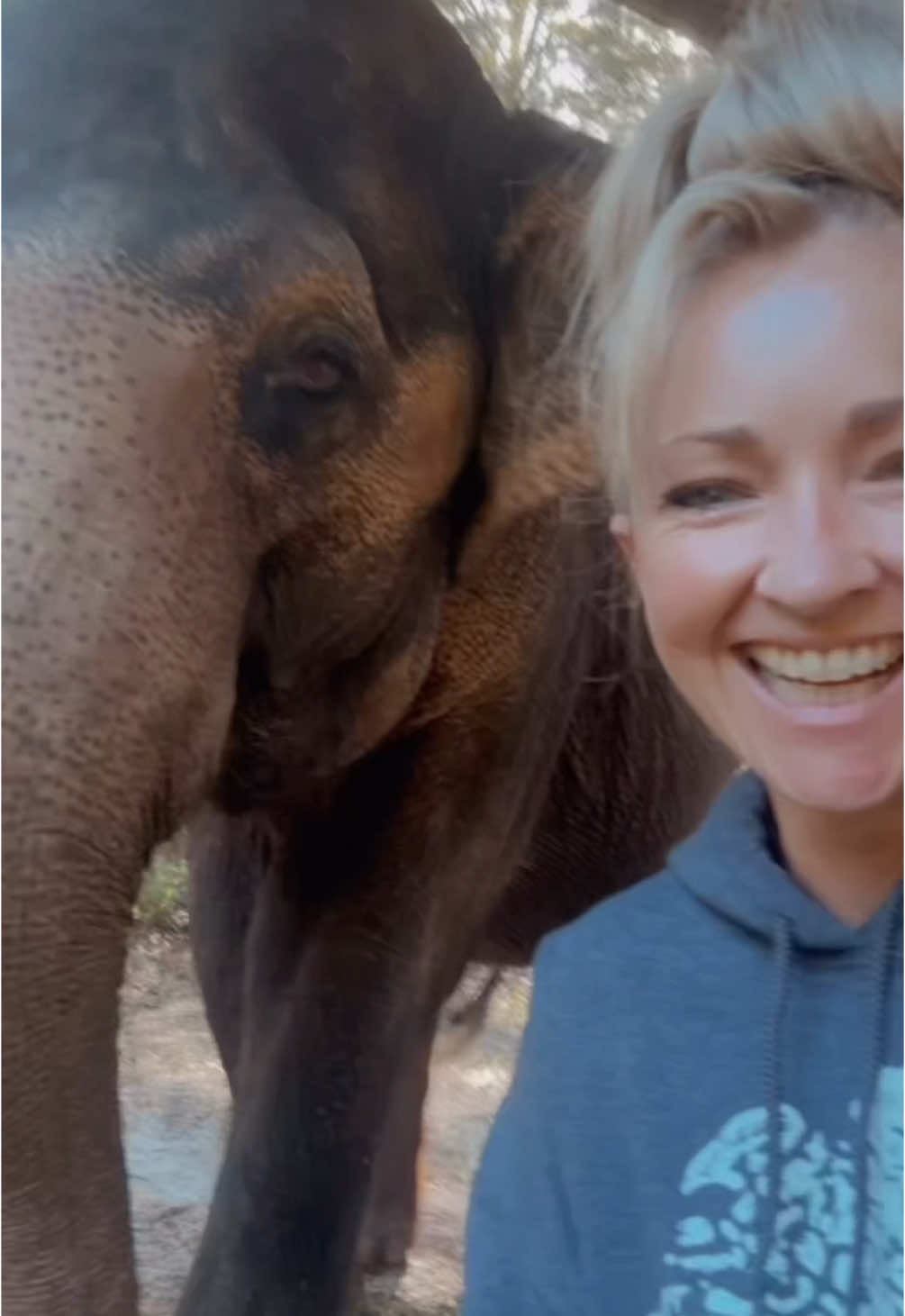 Hide and seek with my elephant #Elephant #Animal #ElephantsOfTikTok #AnimalsOfTikTok #AnimalLover #MyBestFriendIsAnElephant #FreeContactCare #multispeciesherd #ElephantGirl #AnimalWelfare #InterSpeciesFamily #floridalife