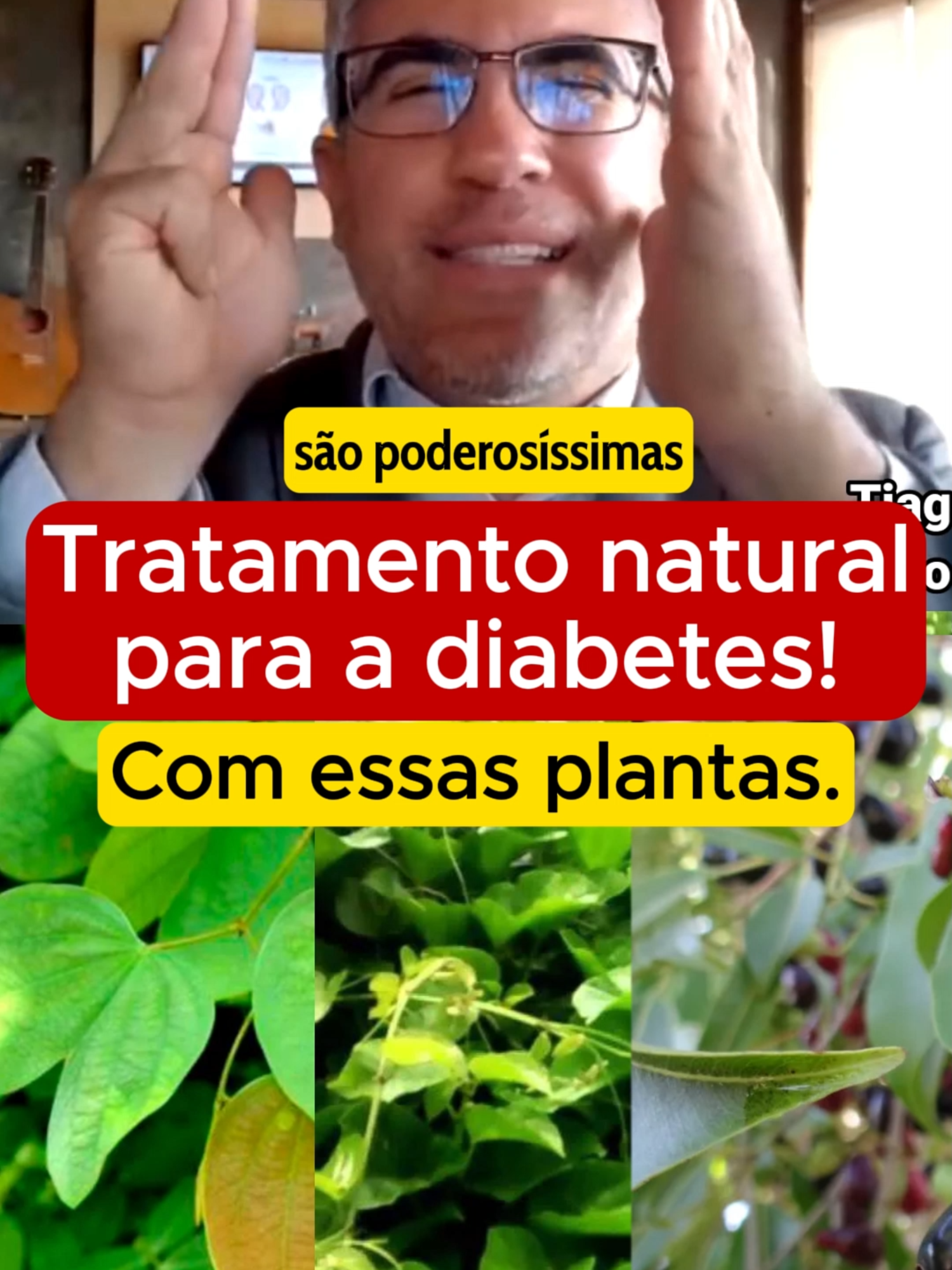 Tratamento natural para a diabetes! Compartilhe e siga o canal. #diabetes #diabetestipo2 #diabeticos #chas #plantasmedicinales #glicosealta