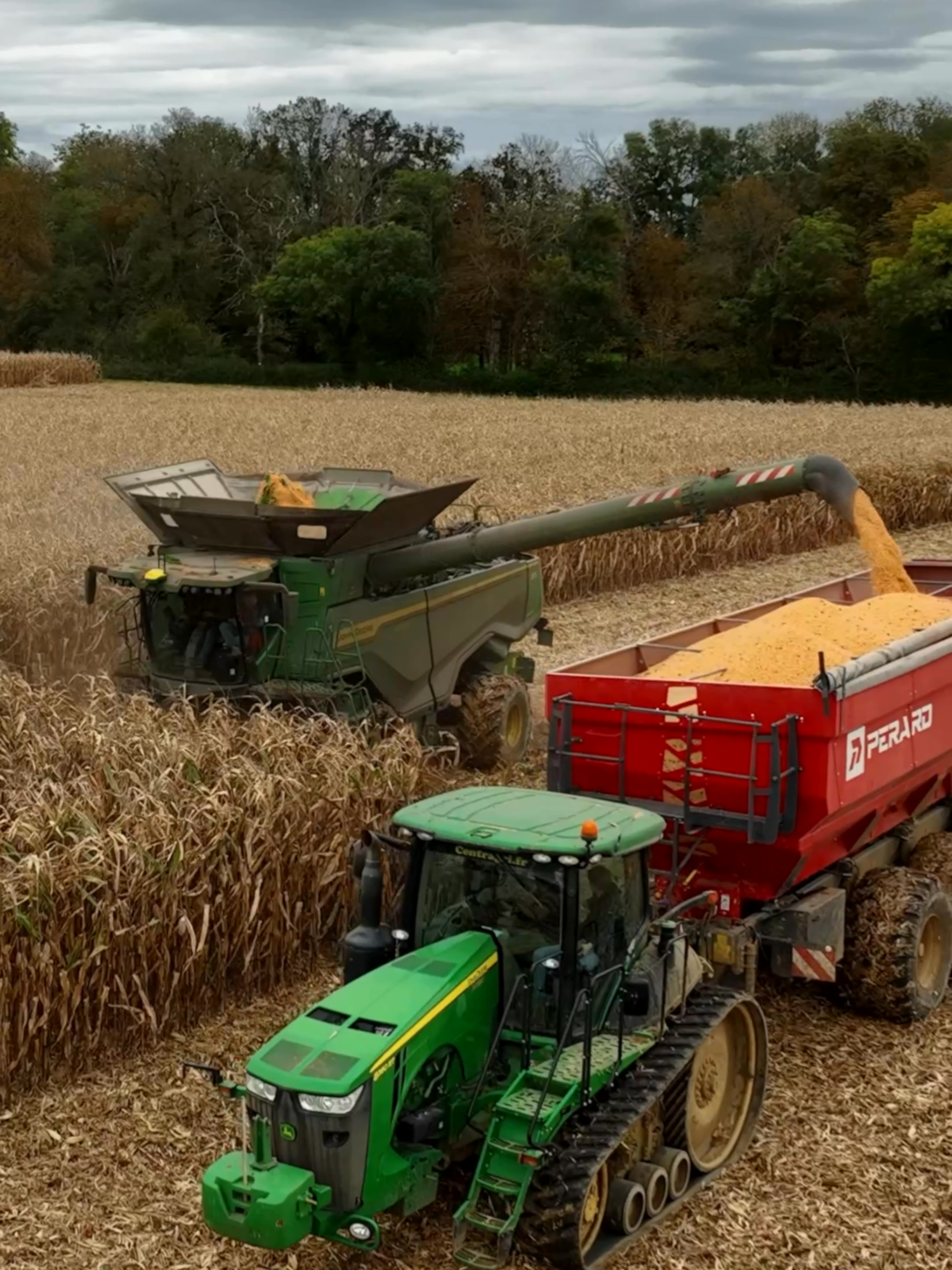 Corn harvest #pourtoi #fyp #johndeere #x9 #perard #agriculture #farming