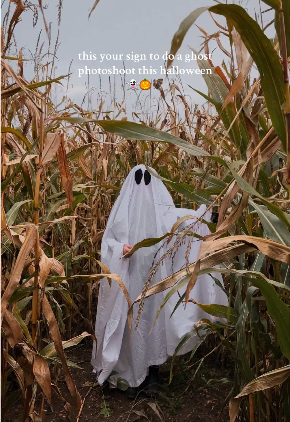 Let’s bring the ghost photoshoot trend back 👻🎃🦇 #ghostphotoshoot #ghostface #pumpkinphotoshoot #halloweentrends 