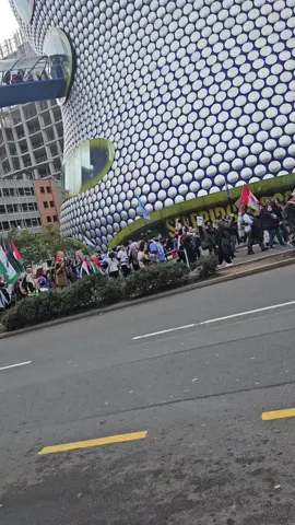 #freepalestine🇵🇸❤️  #Birmingham 