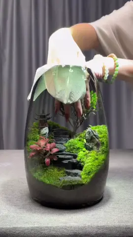 Take a look at our packaging process. Do you want one?#foryou #foryoupage #plants #nature #DIY 