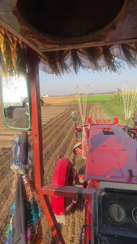 #vidoeviral_tiktok #farminglife #farminglife🌱❤️‍ #510russi #virlvideotiktok #growaccount #❤️‍🔥🔥❤️‍🔥🔥❤️‍🔥🔥❤️‍🔥🔥❤️‍🔥🔥❤️‍🔥 #virlvideotiktok 