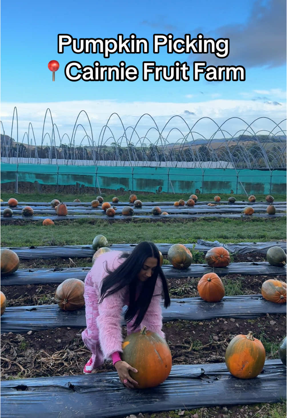 Pumpkin season 🎃 #pumpkinpicking #pumpkinseason #cairniefruitfarm #Scotland 