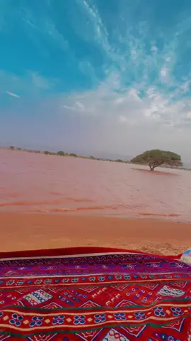 😂😂يالبحر 