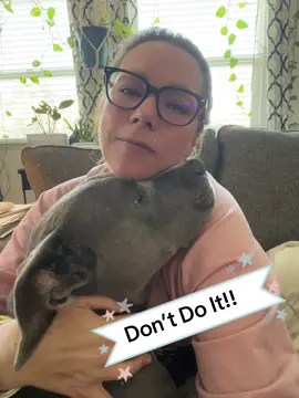 Just don’t…..⚠️ 🙃 If you have recently followed me and I haven’t responded, dont unfollow just yet! I have been put in T-T-J multiple times already 🤦🏼‍♀️.  So, I am spacing it out. 🕰️  🔥I am also making sure to ENGAGE on each page as I accept. So, it is taking some time. Building a community is the priority for me. #qualityoverquantity So, if you feel neglected, please dont. I know many have follow goals to reach, and I get the urgency. But, If you don’t understand this, maybe we arent supposed to connect! 🤷🏼‍♀️