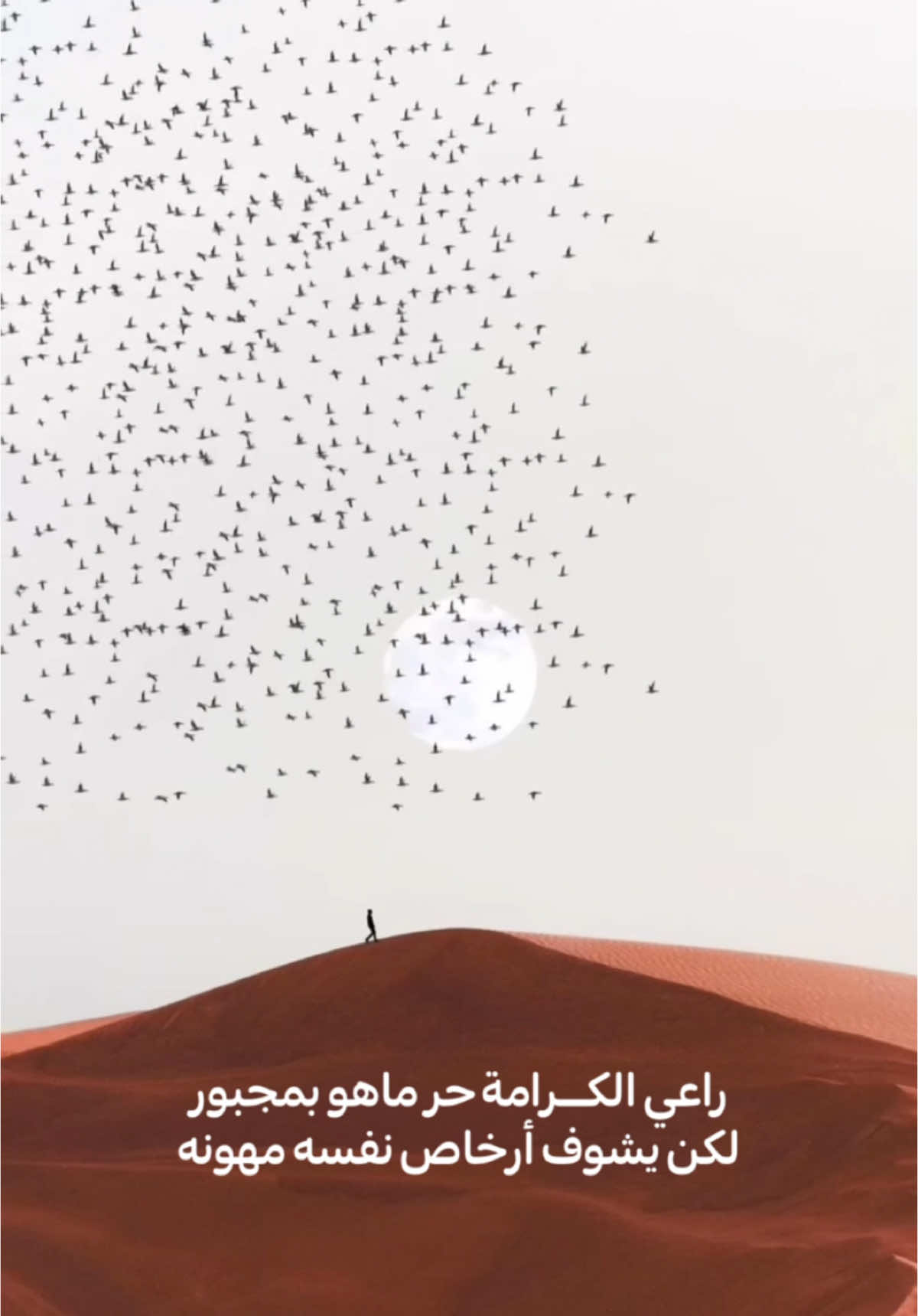 رابط التلقرام في البايو ‏‎#اكسبلور 