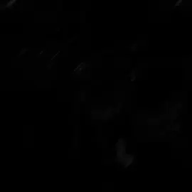 #CapCut 