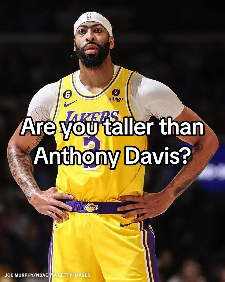 #fyp #viral #basketball #bball #NBA #basket #anthonydavis #lakers #losangeleslakers #neworleanspelicans #pelicans 