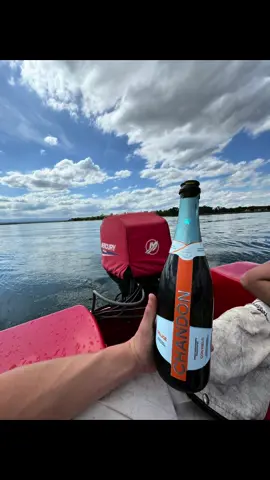 🚤🏔️🏞️🍾🥂🎉#fypシ #parati #argentina🇦🇷 #viral #foryou 