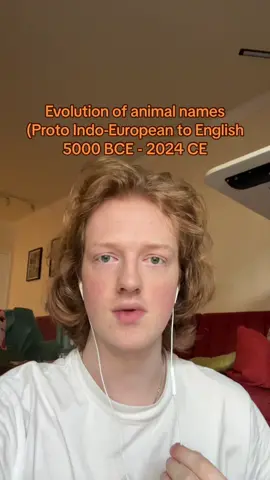 Evolution of the names of animals from proto Indo-European to English #linguistics #language 