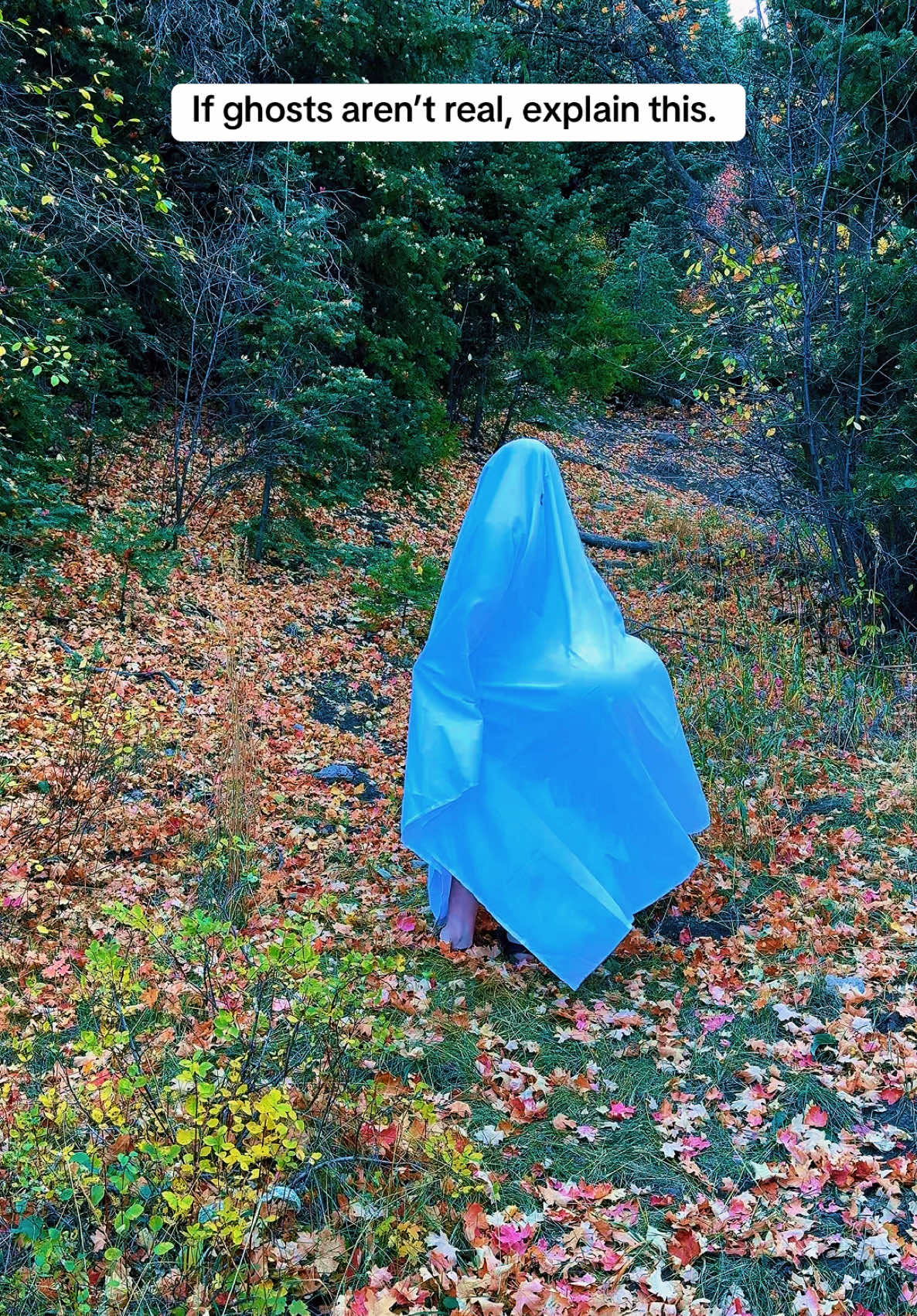 Ghost sighting caught in 4k. 😨 👻 #ghostsighting #halloweentok 