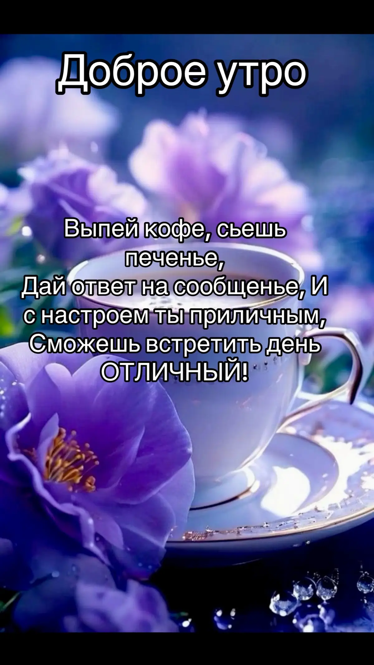 #petras🙏 #доброеутро #хорошегонастроения #любвивсем #прекрасногодня🌸🌺🌼 #