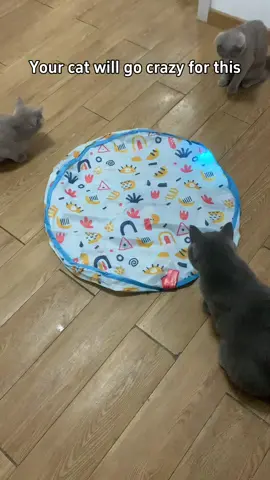 Let's see who can catch it first#cattoys #pettoys #tiktokmademebuyit #cats #catlover #catowner #ilovecats #OkulKombini 