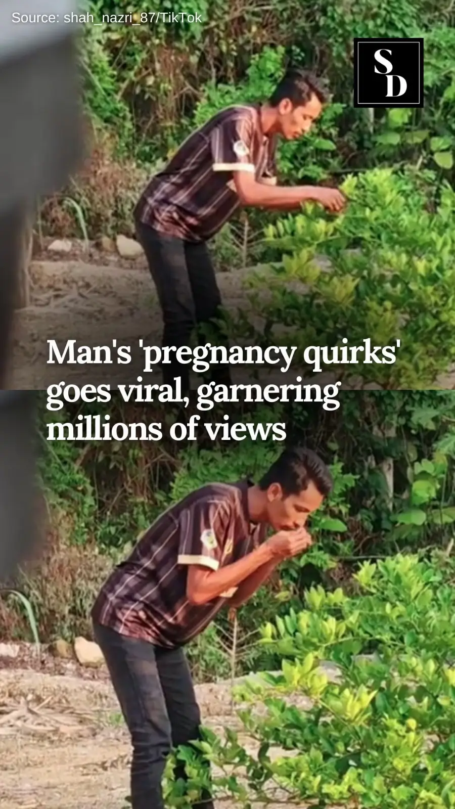 Visit www.sinardaily.my for more stories. #Viral #Video #SocialMedia #Husband #Man #Allergy #Pregnant #Symptoms #CalamansiLime #SinarDaily 