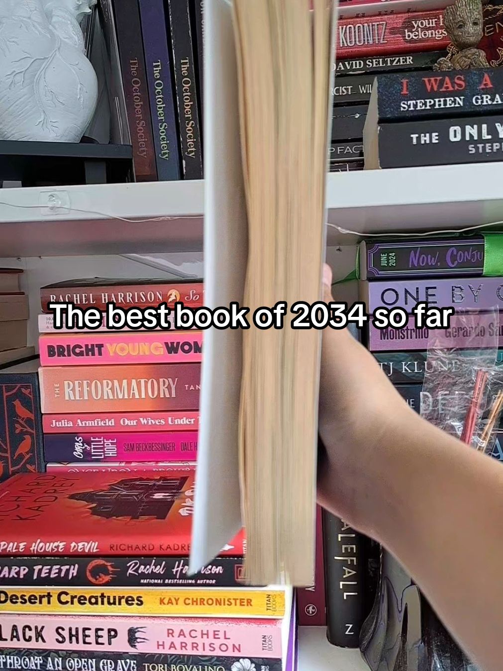 What's the best book you've read in 2024 so far? #BookTok #horrortok #bestbook2024 