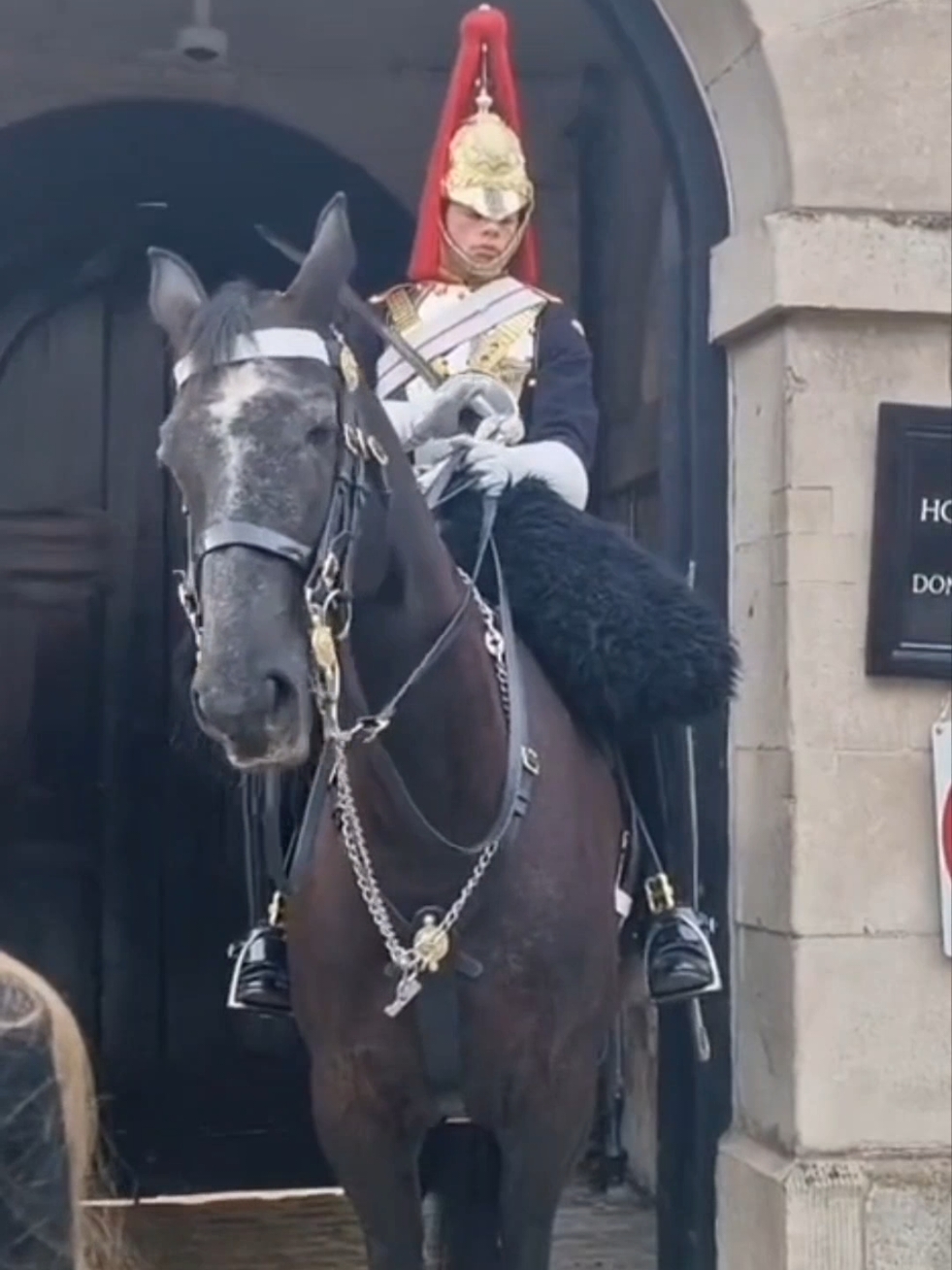 Heartwarming #kingsguard #horseguardsparade #london #tourist #horse 