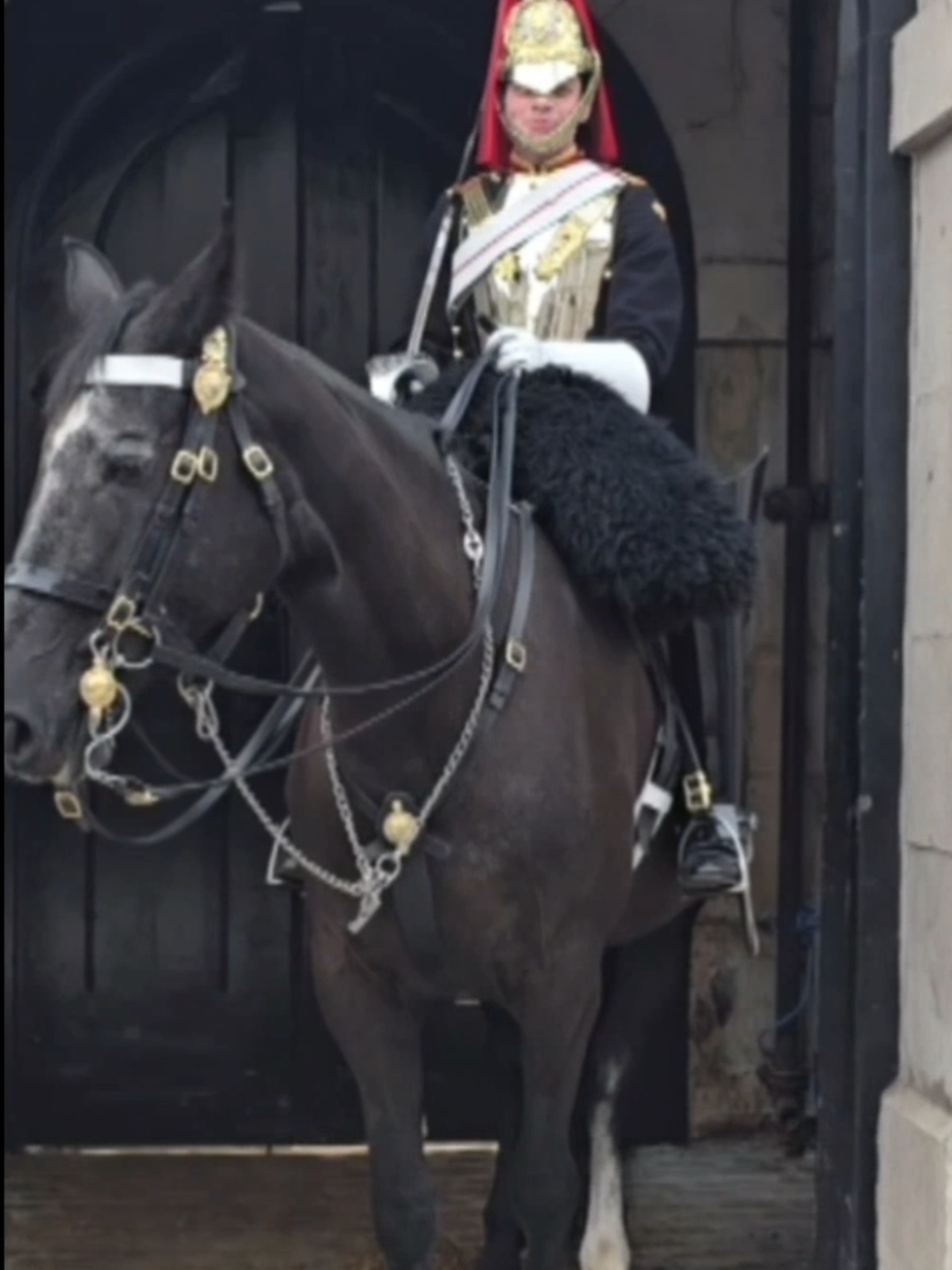 #horse #tourist #london #horseguardsparade #kingsguard 