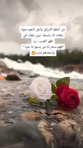 #من #اعظم #الارزاق #واجل #النعم #دعوة #رفعت #لك #وانت #لا #تعلم ... #اللهم #سخر #لنا #من #يدعو #لنا #غيبا #واسعدهم #ا #يا #الله #يارب#❤ #🤍 