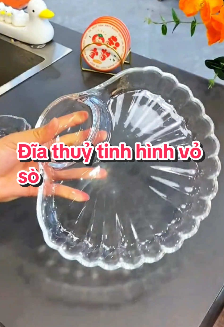 Đĩa thuỷ tinh đựng thức ăn hình vỏ sò có ngăn đựng nước chấm tiện lợi #diathuytinh #diathuytinhhinhvoso #diathuytinhcongannuoccham #giadungtienich #giadungthongminh 