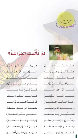 لم تألمت الفراشة ( كنت دوما اتجول في هناء مثل بلبل #الفراشة #لغتي #قصص_نواف #بدون_موسيقى #اكسبلور #بدون_هشتاق #ابتدائي 