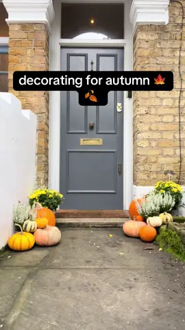 deocorating the front of the house for autumn to make it a tad more festive  #lifeafterloss #autumnaesthetic #autumndecor #fallaesthetic #falldecor #autumnvibes #housedecor 
