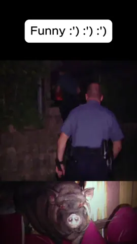 Funny #police #cops #criminal #law #case#judge #policeusa #suspect #911 #bodycam#surprise #foryour #fyp #funny #pig