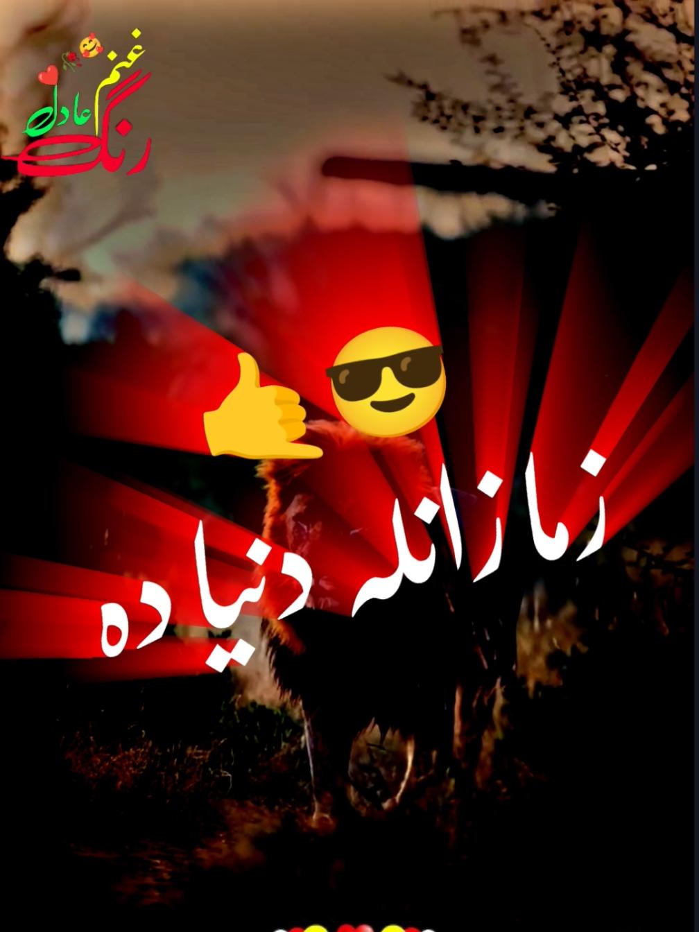 Pashto Attitude Poetry 💯 #adil_typist423 #pashtopoetry #fyp #pashtoshayari #pashto #poetry #poem #pashtosong #1millionaudition #growmyaccount #pashto_poetry423 #شعروشاعری @TikTok @🔥غنم رنگ عادل 🔥 @TiktokPakistanOfficial 