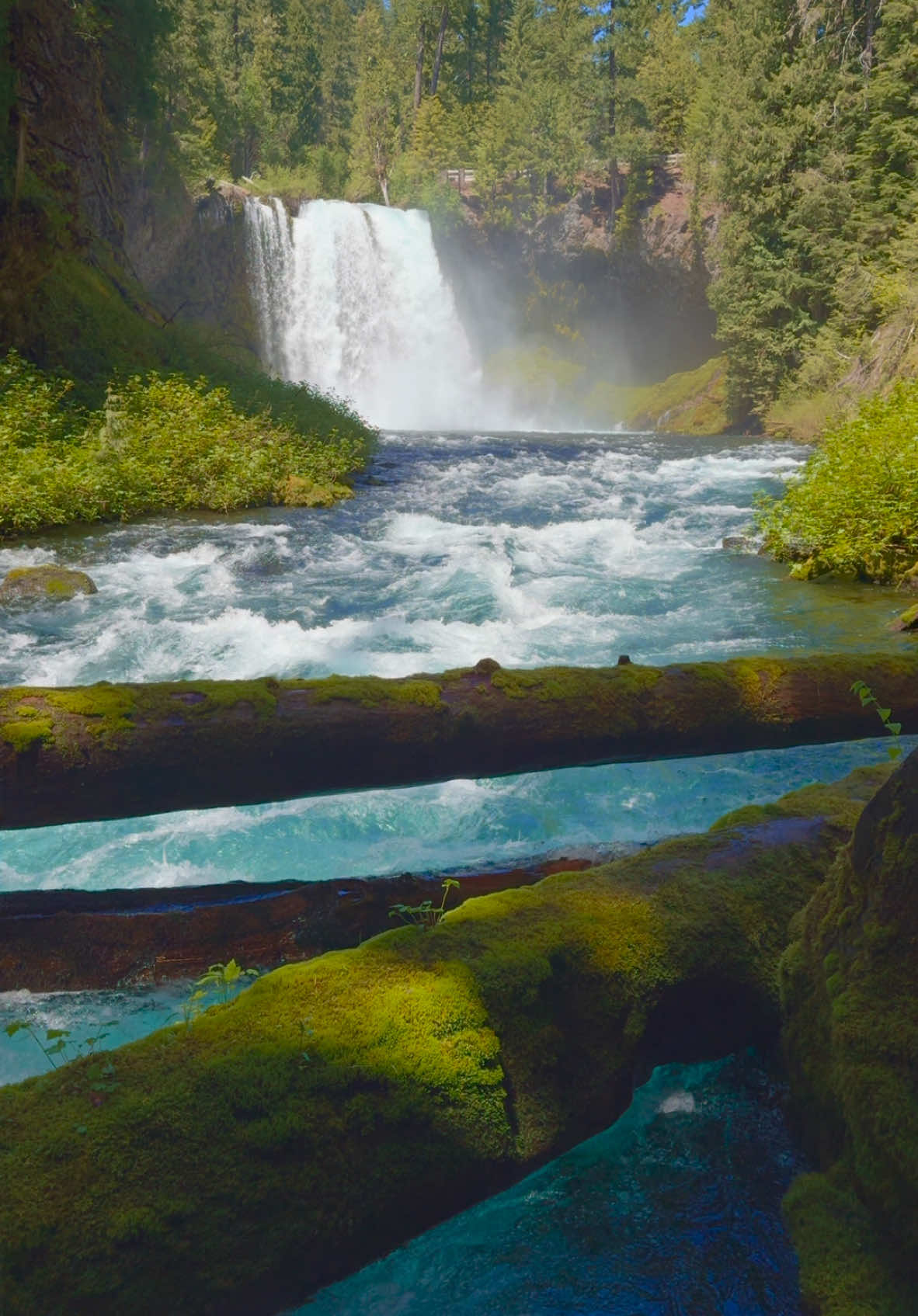 Gazing toward a beautiful waterfall in the distance, framed by a stunning blue river flowing beneath—nature’s elegance in every detail 😍 #nature #Outdoors #cinematic #calm #waterfall 