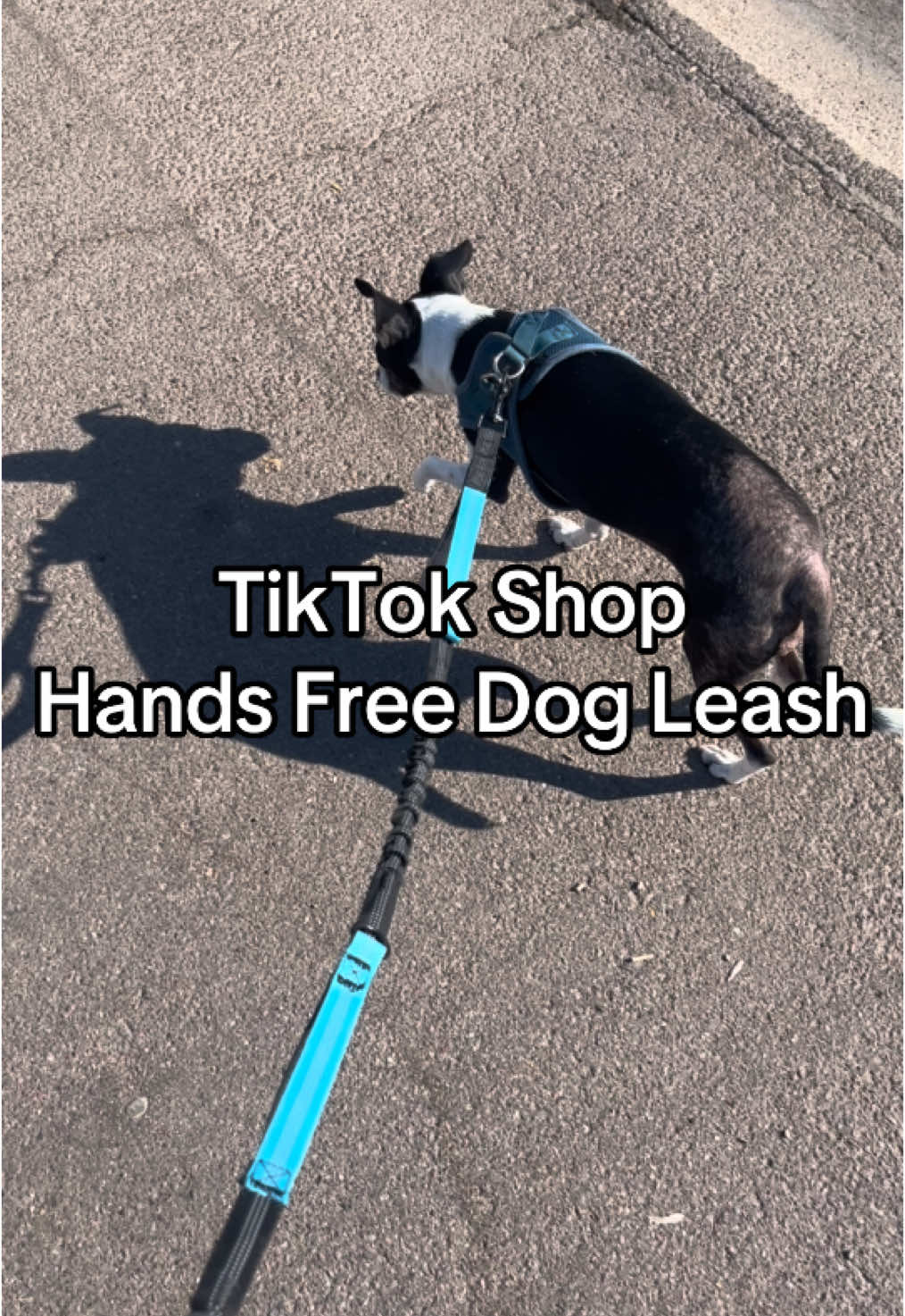 It’s walking season! This hands free dog leash is a must have! #TikTokShop #tiktokshopmademebuyit #SuperBrandDay #handsfreeleash #handsfreedogleash #dogleash #dogleashtraining #viraldogleash