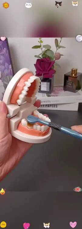 This #three-sided toothbrush is really easy to use. It cleans all three sides at the same time and brushes quickly and cleanly. #toothbrush #soft-bristled toothbrush #coupletoothbrush 
