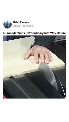 #islam #thetruth  #quran #quranmiracles  #muslim 
