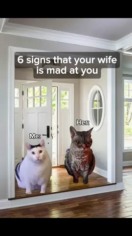 6 signs that your wife is mad at you #catmemes #realatable #Relationship #couple 