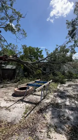 We won’t have power until the tree is removed 🥺 #firsthome #firsttimehomebuyer #diyhomemakeover #diyhomeimprovement #beforeandafter #hometour #hometransformation #hurricane #yard #yardcleanup #damage 