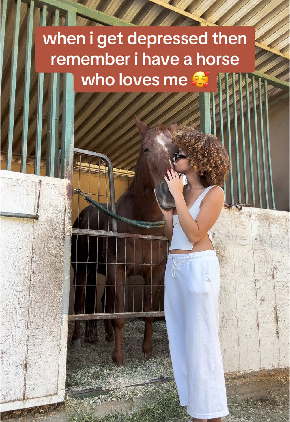 i love my boop hes such a loving gentle boy 🫶🏽🥹 #foryou #fyp #viral #horse #horsesoftiktok 