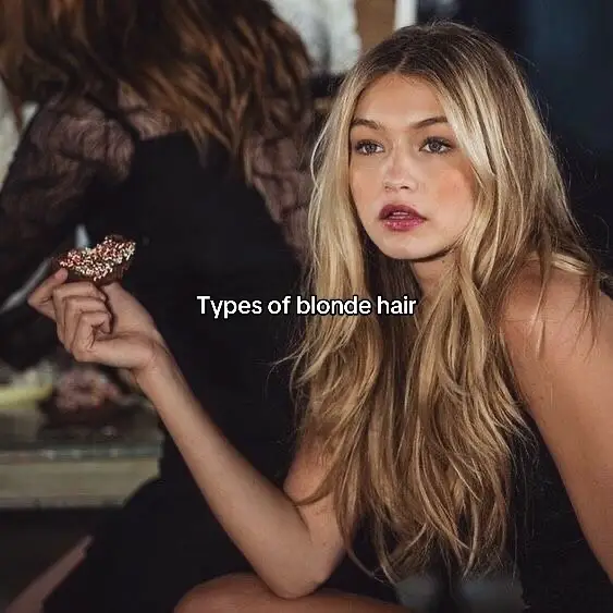 #blondehair #blonde #blondes #haircolor #hair #typesof #lightblonde #honeyblonde #iceblonde #darkblonde #fyp #goviral