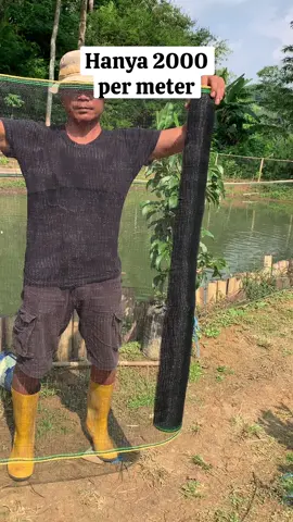 Waring jaring untuk pengaman kolam ternak tanaman #waring #waringjaring #waringjaringpagarhitam #jaring #jaringrambat tanaman 