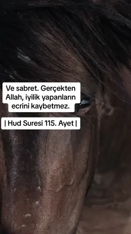 #keşfet #beniöneçıkart 